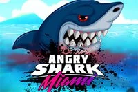 Nauti upeasta Angry Shark -versiosta!