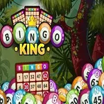 Bingoaiheinen kuva, jossa on värikkäitä palloja ja keskellä teksti Bingo King vehreässä taustassa