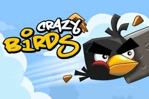 Mustalla linnulla on vihaiset ilmeet ja se lentää oikealle ilmassa oranssin nokan kanssa, ja taustalla on sininen taivas valkoisten pilvien alla; yläosassa lukee Crazy Birds