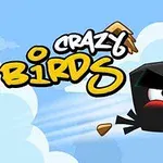 Mustalla linnulla on vihaiset ilmeet ja se lentää oikealle ilmassa oranssin nokan kanssa, ja taustalla on sininen taivas valkoisten pilvien alla; yläosassa lukee Crazy Birds