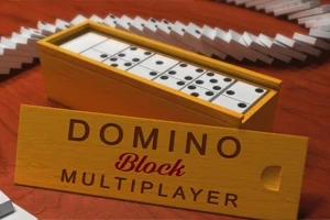 Puisessa laatikossa on domino-paloja, ja laatikon etuosassa lukee Domino Block Multiplayer