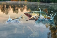 Fish Rain - On aika napata suurin kala!