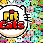 Värikäs tausta, jossa on erilaisia kissankasvoja, ja keskellä logo, jossa lukee Fit Cats