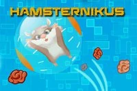 Auta hamsteria pallossaan pääsemään maaliin