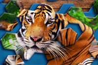 Hexa Jigsaw Puzzle on innovatiivinen ja hauska heksa-palapeli