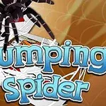 Hämähäkki kiipeää pelikorttien päällä, taustalla on oranssi ja keltainen verkko ja teksti Jumping Spider