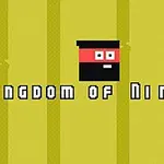 Keltainen tausta, jossa pikselöity ninja-kuvake ja teksti Kingdom of Ninja 2
