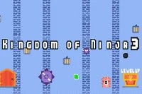 Tervehdys Kingdom of Ninja 3 -pelin sarjasta 3