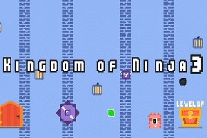 Sinisellä taustalla on pikselityyliä edustavia hahmoja, laatikoita, portti, sekä teksti Kingdom of Ninja 3