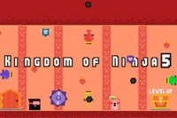 Kingdom Of Ninja 5 on viides osa Kingdom of Ninja -sarjassa