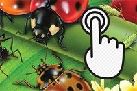 Testaa ketteryyttäsi!