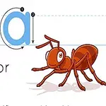 Iso ja pieni A-kirjain, niiden kirjoitussuuntanuolet ja piirretty kuva muurahaisesta