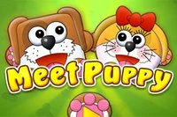 Meet Puppyn koirapariskunta joutui eroon, eikä kumpikaan tiennyt mitä tehdä