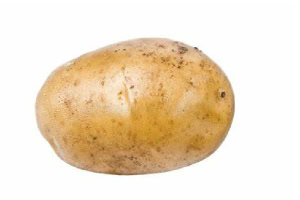 Peruna valkoisella taustalla