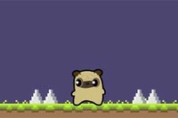 Pug Love -seikkailu alkaa tänään!