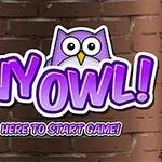 Violetti, piirretty pöllö logon yläpuolella, taustana ruskea tiiliseinä, alla teksti PRESS HERE TO START GAME!