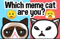 Löydä meemikissasi: Emoji-visailu