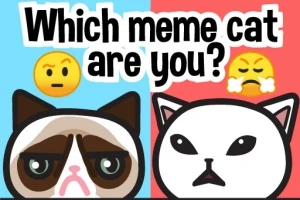 Kuvassa on kaksi piirrettyä kissahahmoa ja teksti Which meme cat are you?