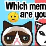 Kuvassa on kaksi piirrettyä kissahahmoa ja teksti Which meme cat are you?